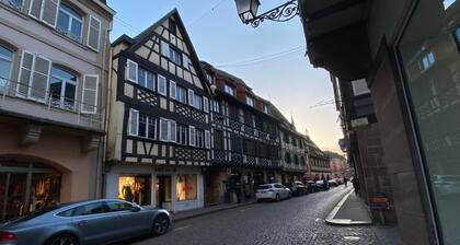 Apartment and garden in house in Obernai