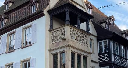 Appartement et jardin dans maison Ă  Obernai