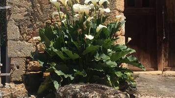 Details aan de buitenkant