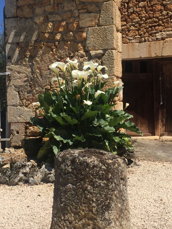 Detalle exterior