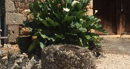 Maison 4 chambres piscine chauffée Fumel Vallée du lot