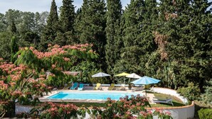A pool area with lounge chairs and umbrellas, surrounded by dense trees and flowering plants.