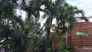 A wooden structure with a fish decoration, surrounded by lush tropical vegetation. - T2 INDIANA air-conditioned, DESHAIES 350 m Grande Anse, 2/3 people, large terrace.  (Deshaies)