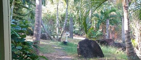 A tropical garden with a wooden deck, palm trees, and large rocks.