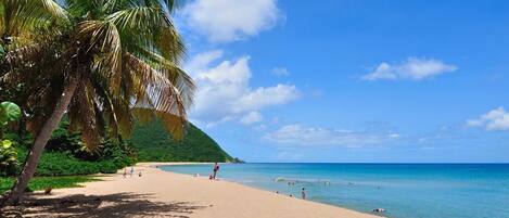 Plage à proximité