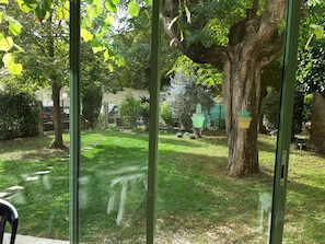 Une vue à travers une fenêtre sur un jardin bien entretenu, avec un grand arbre, une pelouse verdoyante et une porte en métal en arrière-plan.