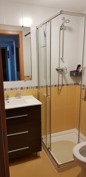 Ensemble baignoire-douche, séchoir à cheveux, serviettes fournies, savon