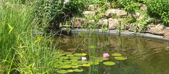 COMFORTABLE GITE - POOL - LARGE GARDEN - BASSES CEVENNES