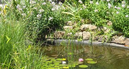 GITE CONFORTABLE - PISCINE - GRAND JARDIN -BASSES CEVENNES