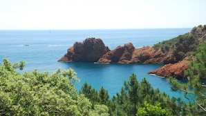 Un paysage côtier caractérisé par des formations rocheuses et une végétation luxuriante.