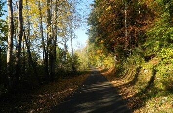 sur la route du lac