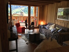 Télévision, cheminée, livres, chaîne hi-fi