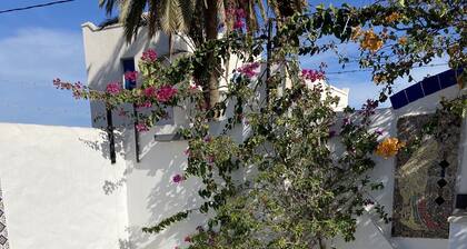 Dar Amandine Djerba midoun