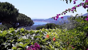 Um jardim com diversas plantas e flores, vista para um corpo d'água e colinas ao longe.