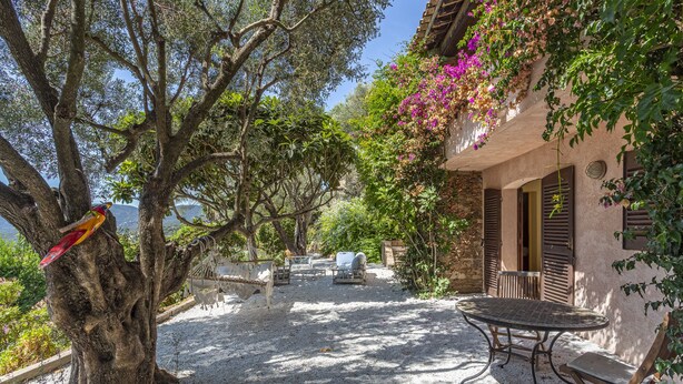 Uma área de pátio com mesa e cadeiras, cercada por árvores e um edifício com persianas.