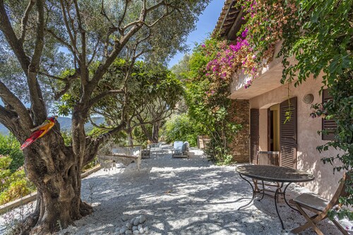 rental house with pool near beach shaded garden
