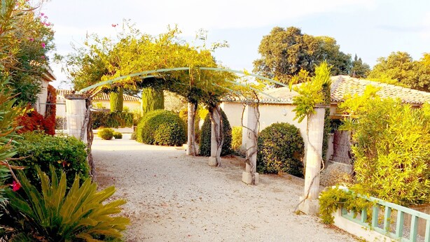 A garden pathway leading to a building with a tiled roof, surrounded by various plants and a metal fence. - MAZET DE LOLA little Provencal house (Saint-Rémy-de-Provence)