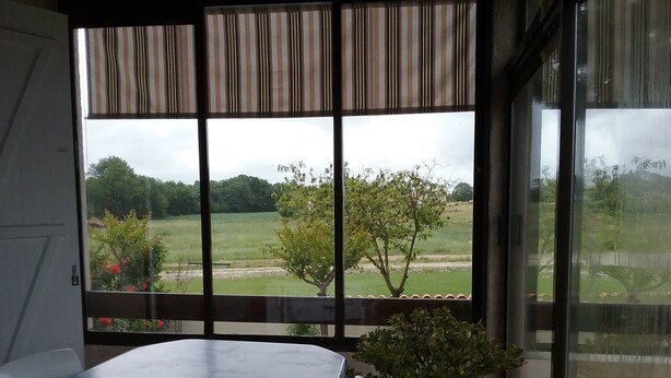 Una habitación con un ventanal grande, una mesa y una planta en maceta.