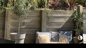 A patio area with a wooden wall, a white umbrella, and various potted plants. - Contemporary villa beach slope privileged site swimming pool (Capbreton)