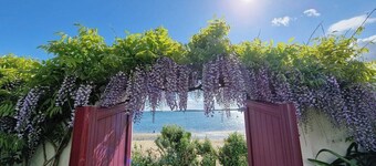 Villa Ty Marie overlooking the beach, 180° panoramic view