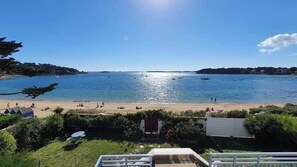 Unclassified image, 5 of 90, button