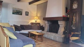 Télévision, cheminée, livres