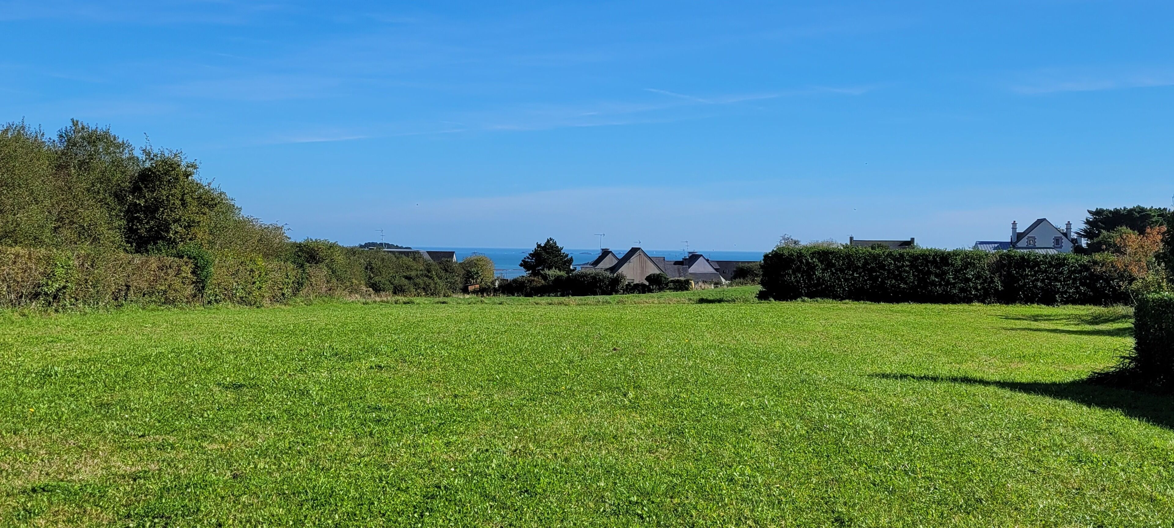 A grassy field with a view of houses and a clear sky.