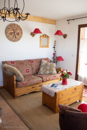 TV, fireplace, DVD player, books