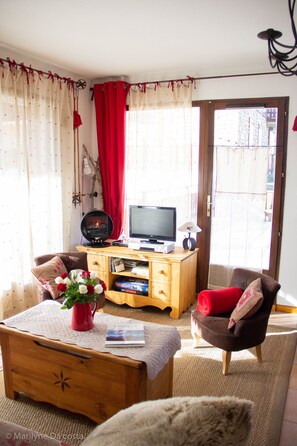 TV, fireplace, DVD player, books