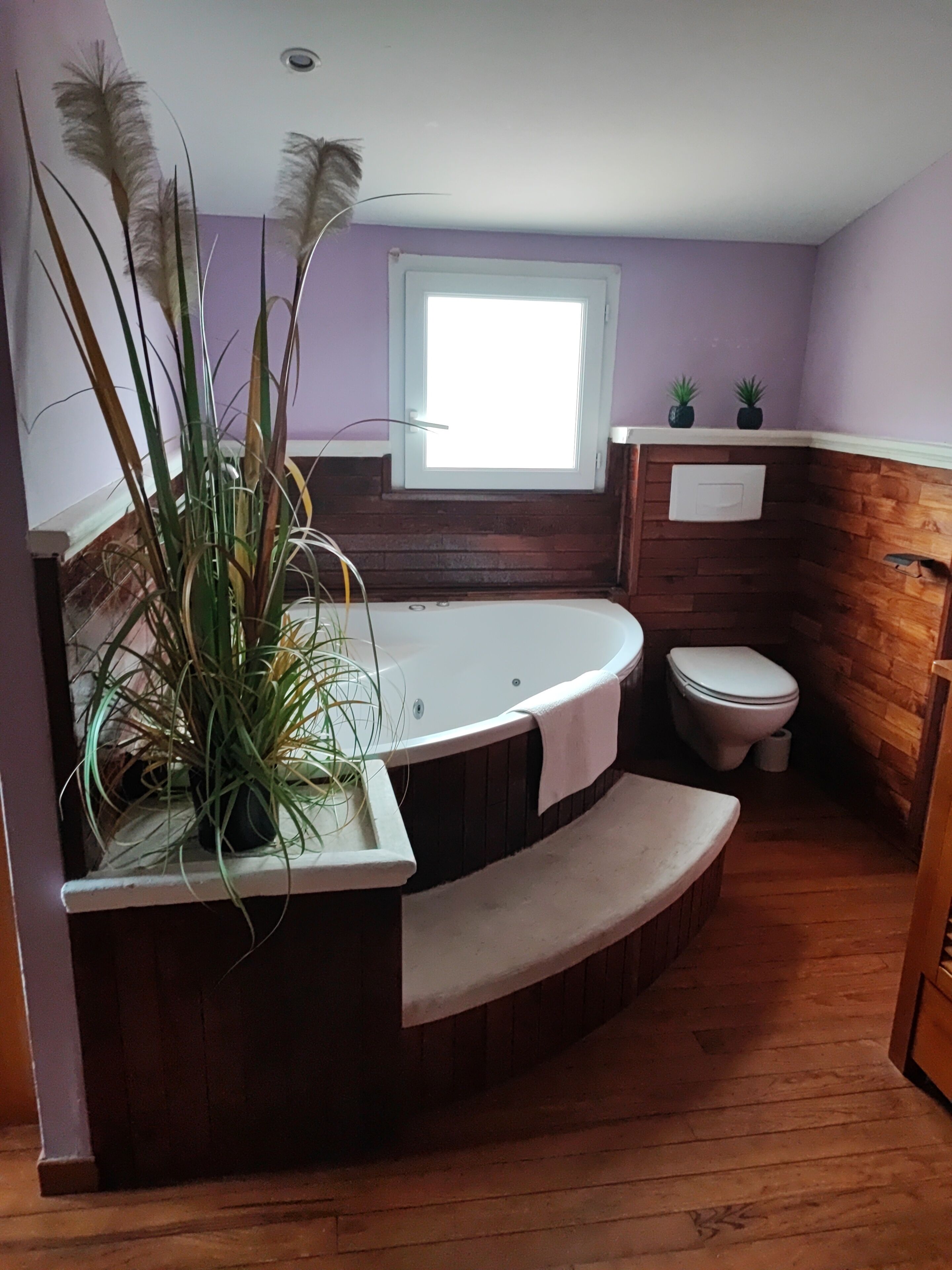 Badewanne, Whirlpool, Haartrockner, Handtücher