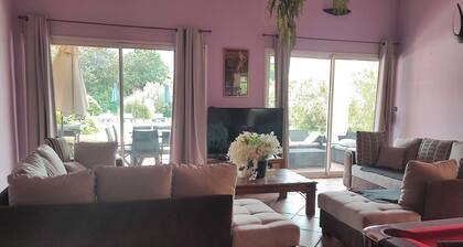 VILLA "La Crau" Exceptional Provencal oasis with private saltwater pool