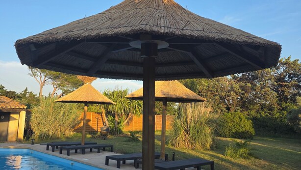 A swimming pool with lounge chairs and thatched umbrellas. - VILLA "La Crau" Exceptional Provencal oasis with private saltwater pool  (Arles)