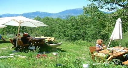 Ecological guesthouse Tallard- Gap-Serre Ponçon: Adonis