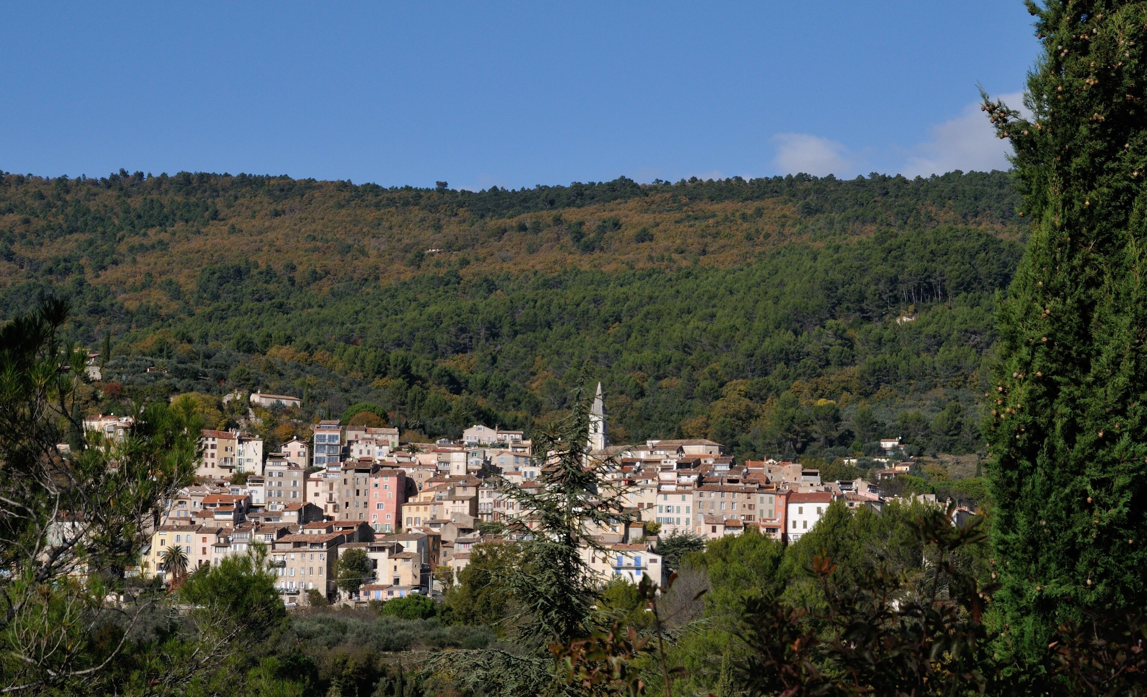 Une ville côtière caractérisée par des bâtiments denses, une église imposante et un paysage de collines boisées en arrière-plan.
