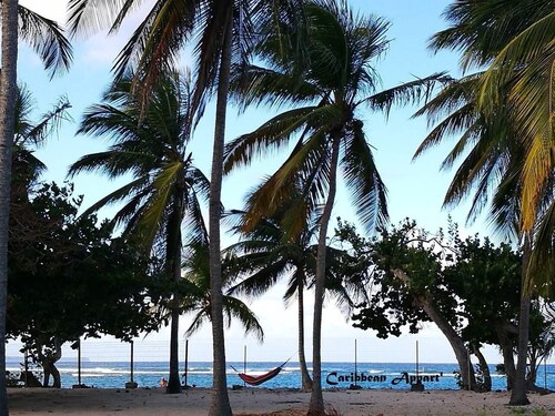 Le Caribbean Appart', 4 étoiles en bord de plage