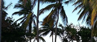 Le Caribbean Appart', 4 étoiles en bord de plage