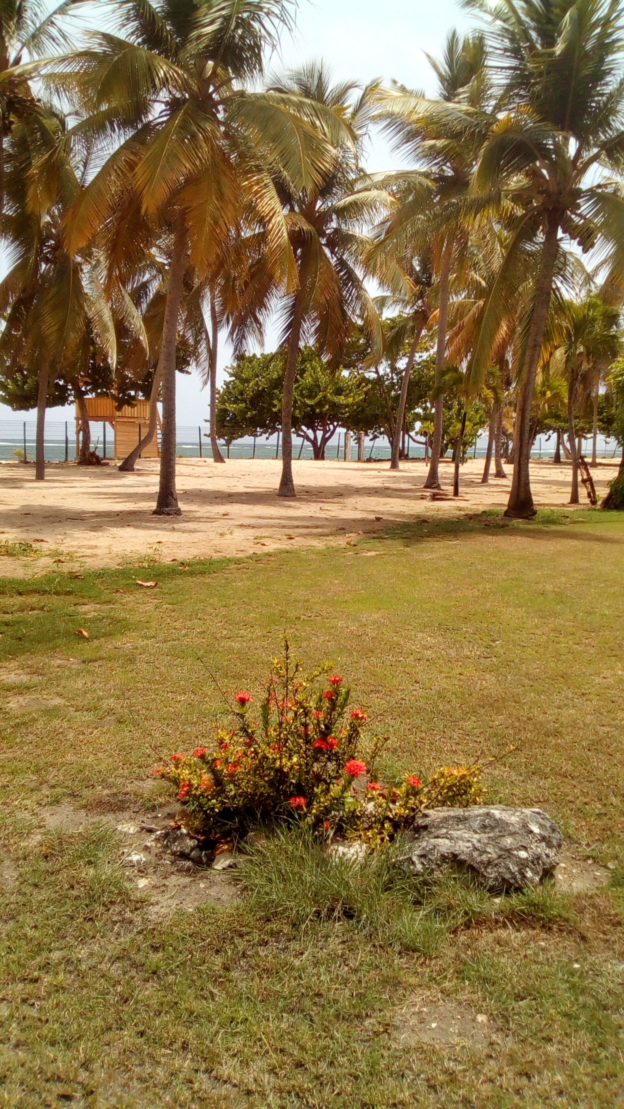 Parco della struttura