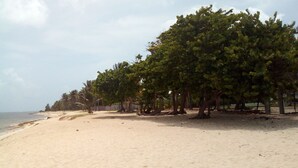 Ein Sandstrand mit Bäumen und einem Zaun im Hintergrund.