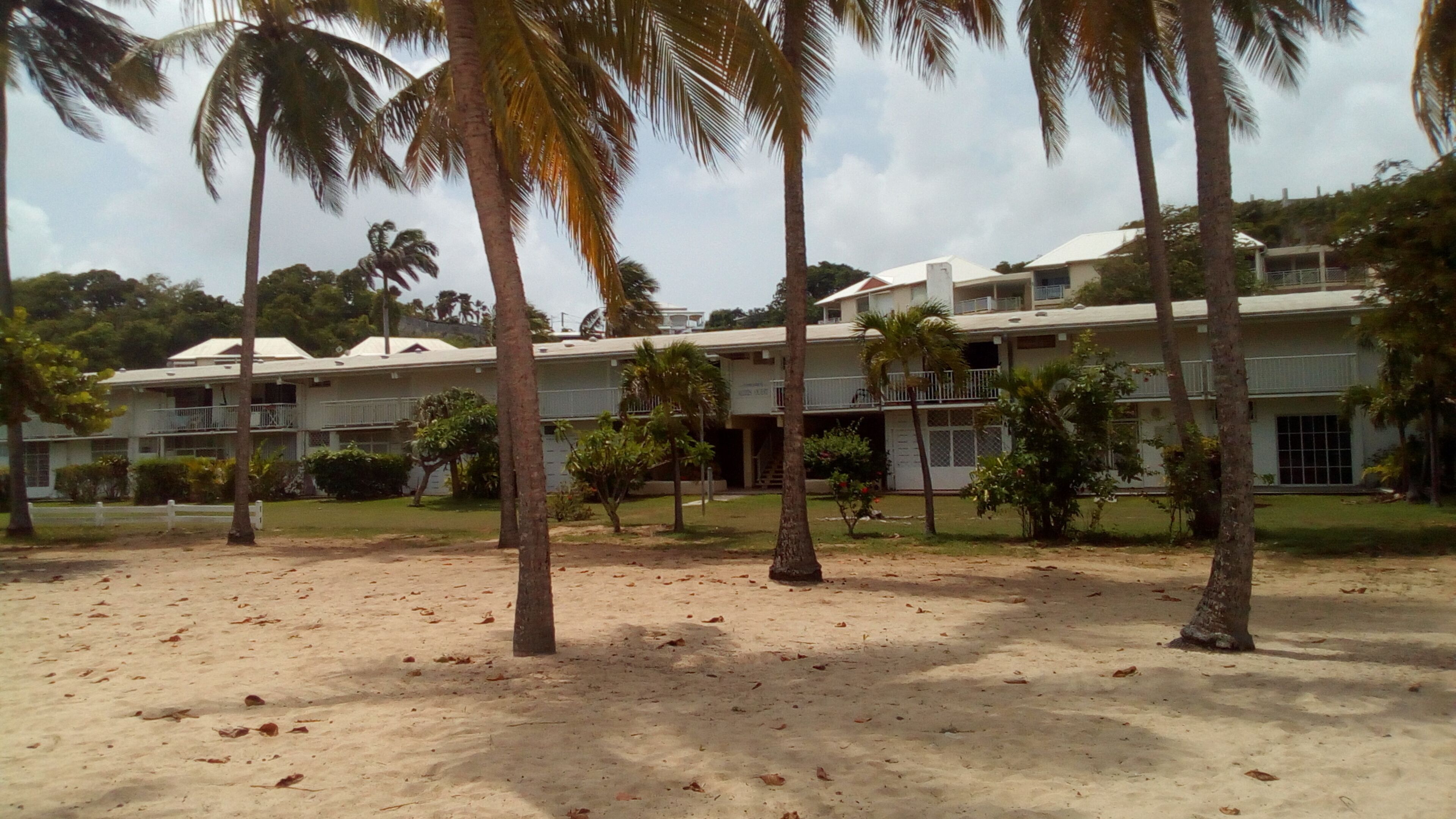 A multi-story building with a flat roof, surrounded by palm trees and a sandy ground.