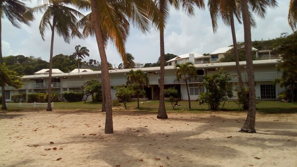 A multi-story building with a flat roof, surrounded by palm trees and a sandy ground.