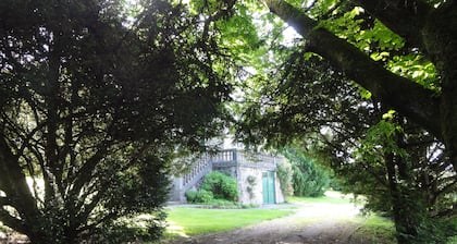 BEAUTIFUL HOUSE BOURGEOISE, 9 people, in the village center of MASSERET