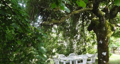 BELLE MAISON BOURGEOISE , 9 pers, au centre du village de MASSERET