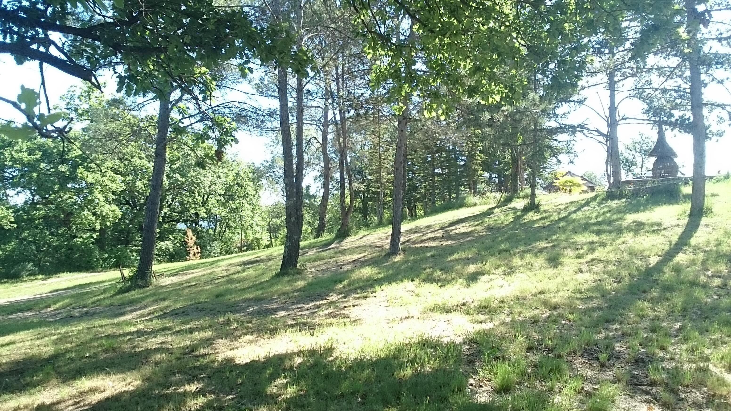 Een glooiend grasland met bomen en een heldere lucht.