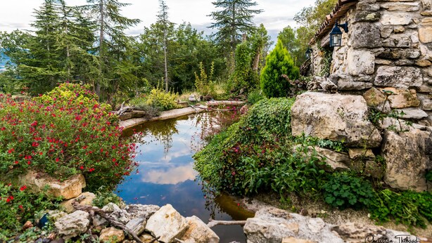 Un edificio de piedra con un estanque, rodeado de árboles y plantas con flores.