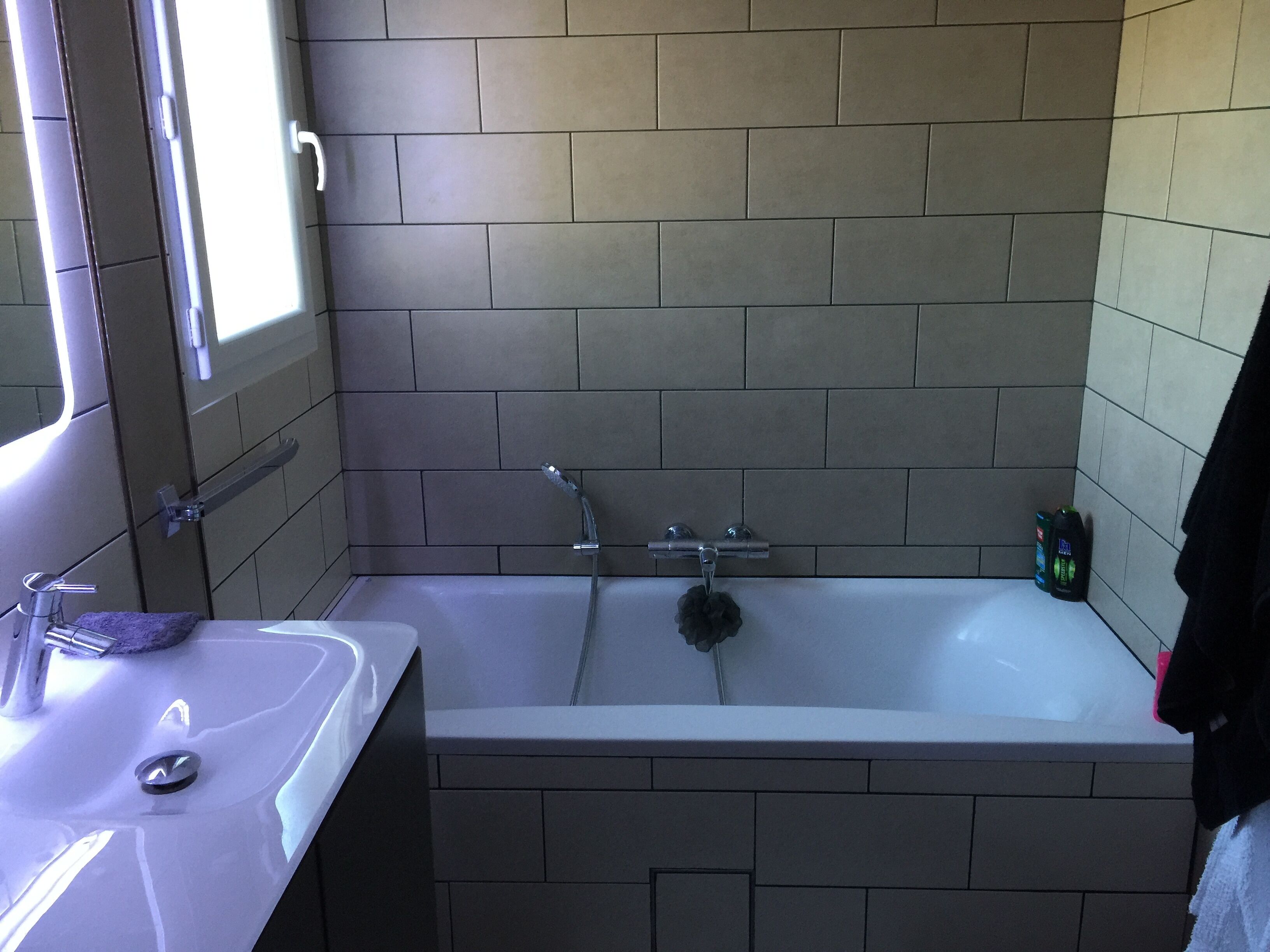 Contemporary villa surrounded by nature