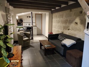 Télévision, lecteur de DVD, livres, vidéothèque