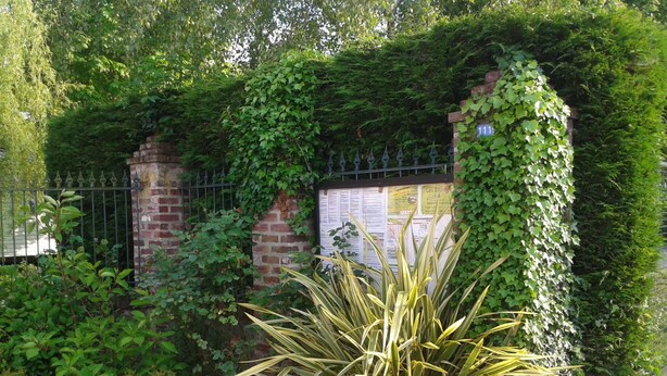 A garden with a brick wall, ivy, and a metal fence.