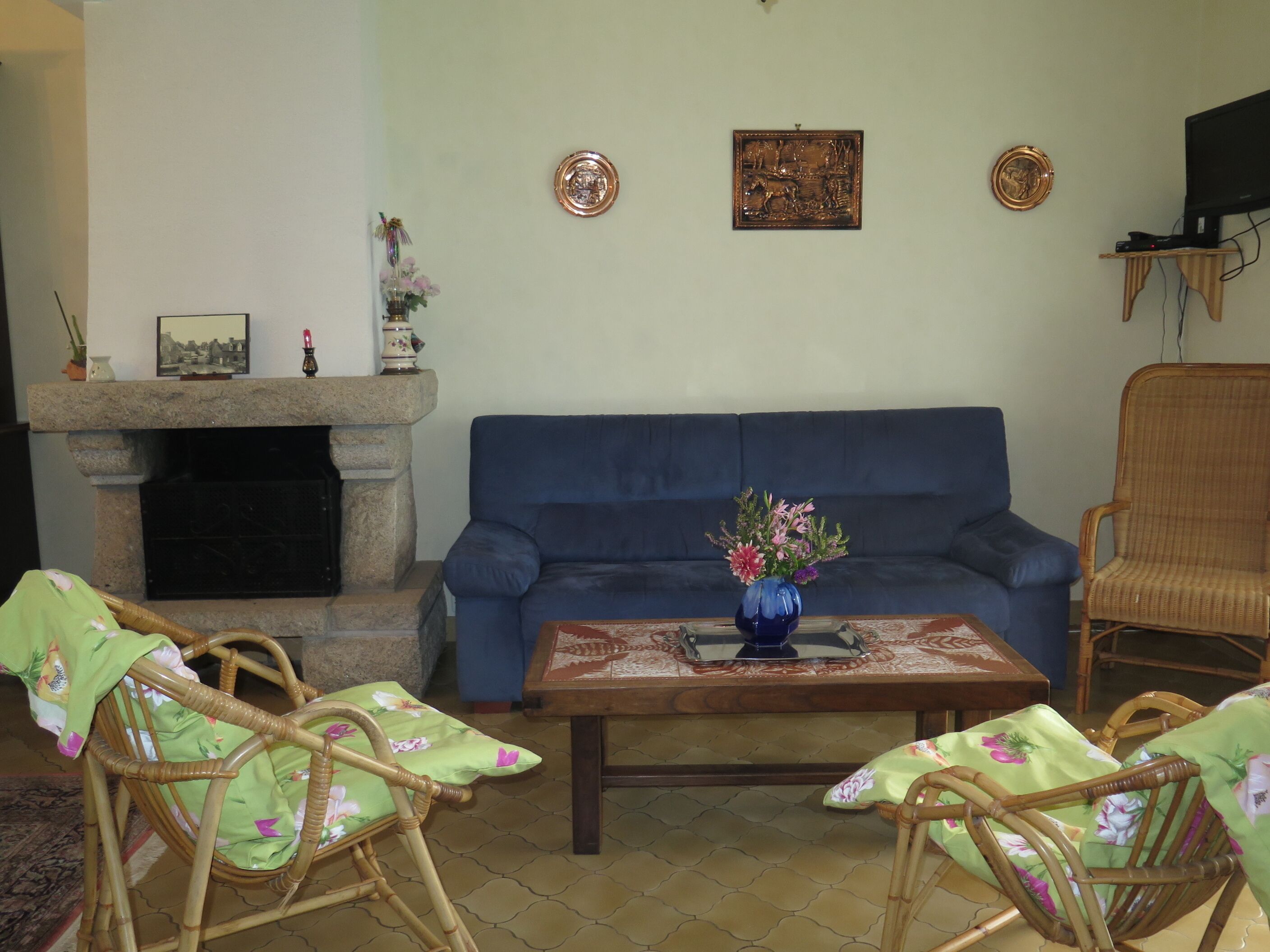 TV, peis og DVD-spiller