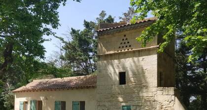 Le Pigeonnier, Ferienhaus für 5 Personen im Herzen des Naturparks der Camargue.