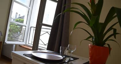 Charming studio in the heart of Amboise with gorgeous views of the Château!